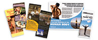 Brochure Thumbnail