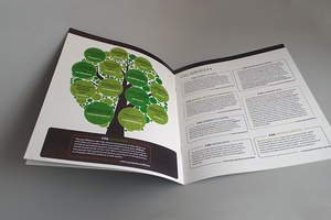Booklet - Full Color